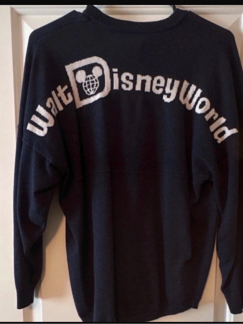 Walt Disney World spirit jersey